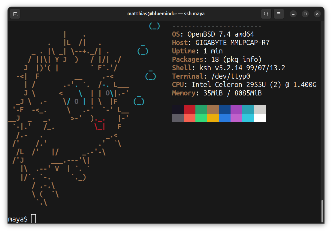 Screenshot GNOME Terminal on Fedora Silverblue/ Bluefin running neofetch via ssh on maya